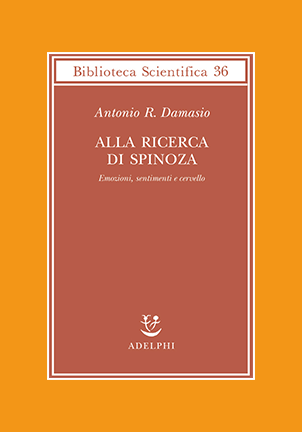 In cerca di Spinoza